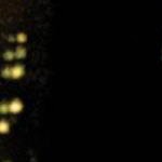 clear push pins bundle