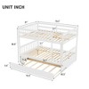 NicBex Full Over Full Bunk Bed with Trundle,Loft Bed with Ladder and Convertible to 2 Full Size Bed for Bedroom,White - 3 of 4