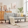 Futon Sofa Bed, Compact Loveseat, Modern Mid-Century Sleeper Sofa, Convertible Couch, Living Room Couches - 4 of 4