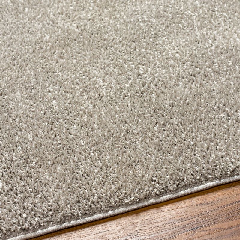 Mark & Day Richlawn Washable Woven Indoor Area Rugs, 5 of 8