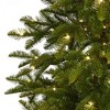 7ft Nearly Natural Pre-Lit LED Slim Alaskan Alpine Artificial Christmas Tree Clear Lights - 3 of 4