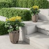 Fiber Clay Planters - 2-Piece Barrel-Shaped Pot Set with Metal Trim, Wood Look, and Drainage Holes for Herbs and Flowers by Pure Garden (Gray) - 3 of 4