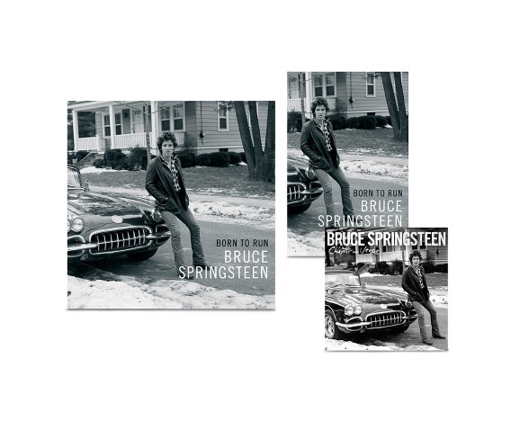 Bruce Springsteen - Born To Run (Bundle: LP + Audio Book + Book)