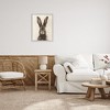 Stupell Industries Brown European Rabbit Hare Framed Giclee Art - 3 of 4