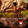 Gya Labs Clove Essential Oil for Teeth & Gums - 0.34 Fl Oz - 100% Pure Natural Clove Oil for Oral Care, Hair, Skin & Candle Making Scent - 3 of 4
