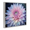 Stupell Industries Dew Kissed Pink Chrysanthemum Framed Giclee Art - 2 of 4