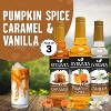 Syruvia Variety Pack - Pumpkin Spice, Caramel & Vanilla Syrup 25.4 Fl oz (3-Pack) - 3 of 4