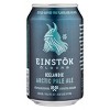 Einstok Icelandic Arctic Pale Ale Beer - 6pk/11.2 Fl Oz Cans : Target
