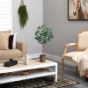 HomeStock  2.5 ft. Artificial Olive Tree in Pot for Indoor/Outdoor - 4 of 4