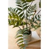 Artificial Plant – Fern 28 Inch – Decorative Greenery in Cement Pot By Kalalou - 2 of 3