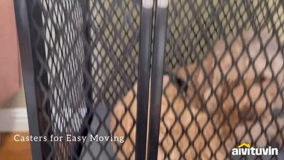 Large Black Metal Dog Crate Table with Casters