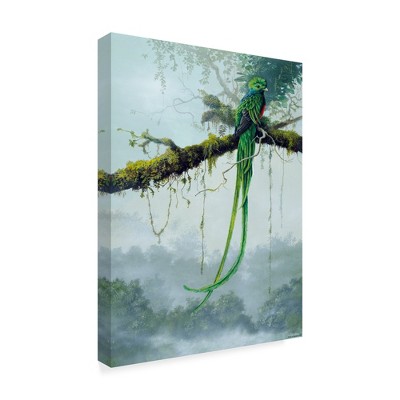 Trademark Fine Art -Harro Maass 'Resplendent Quetzal' Canvas Art
