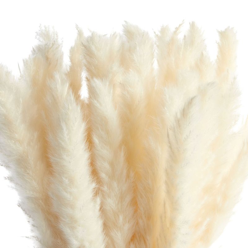 Juvale 30 Pack Dried White Pampas Grass for Vase, Wedding, Rustic-Style Farmhouse Decor, Boho-Themed Home Decor, 17 In, 5 of 10