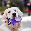 QuestaPack 6 Pack Surprise Dog Toy Set Dog Squeaky Toys Dog Chew Toys - 2 of 4