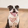 Pavilion Gift Company - Super Dog - 7" x 5" Canvas Slip on Pet Bandana - Pet Apparel Accessories - 2 of 4