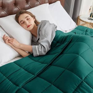 Inhand Weighted Blanket (Queen 60"x80") - Cooling Heavy Blanket with Glass Beads - All-Season Breathable Soft Comfort Microfiber Blanket - 1 of 4