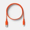 6' A+C Silicone Cable - heyday™ - 3 of 3