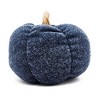 Gulches Series Multicolored Shatterproof Grid Pumpkin Harvest Festival Ornament - 4 of 4