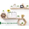Aoibox Set of 6 Artificial Succulent Plants in Pots, Fake Plants for Home Decor, Office Desk, Bedroom, Living Room, Bathroom - 3 of 4