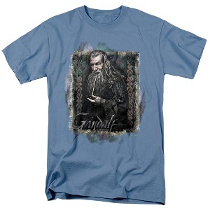 The Hobbit Gandalf Adult T-Shirt - 1 of 4