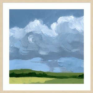 Amanti Art Lush Terrain VI by Victoria Barnes Wood Framed Wall Art Print - 1 of 4