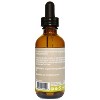 Plantlife Moringa Carrier Oil - Cold Pressed, Non-GMO, and Gluten-Free Carrier Oil for Skin, Hair, and Personal Care - 3 of 4