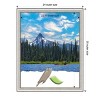 Amanti Art Salon Silver Narrow Picture Frame - 4 of 4