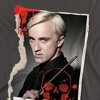 Harry Potter Draco Frame Adult T-Shirt - 2 of 4