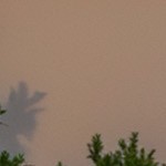 brown wicker/red cushion