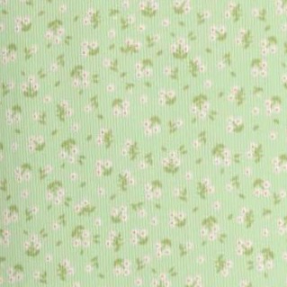 mini daisy - mint