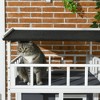 Akoasm Wooden Cat Shelter & House With Asphalt Roof, Escape Doors And Jumping Platform-Gray - 4 of 4