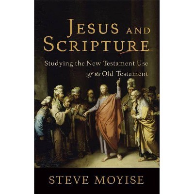 Jesus and Scripture - (Paperback)