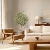 Artificial Olive Tree - Realistic Faux Olive Tree with Natural Wood Trunk and Lifelike Leaves, Perfect Potted Fake Olive Tree for Home, Office - 4 of 4