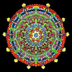 Of Montreal - Hissing Fauna, Are You The Destroyer? - 1 of 1