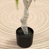 Kazeila Artificial Betula Tree in Pot, Pre Potted Faux Greenry Tree for Home Decor, Big Fake Plants - 4 of 4
