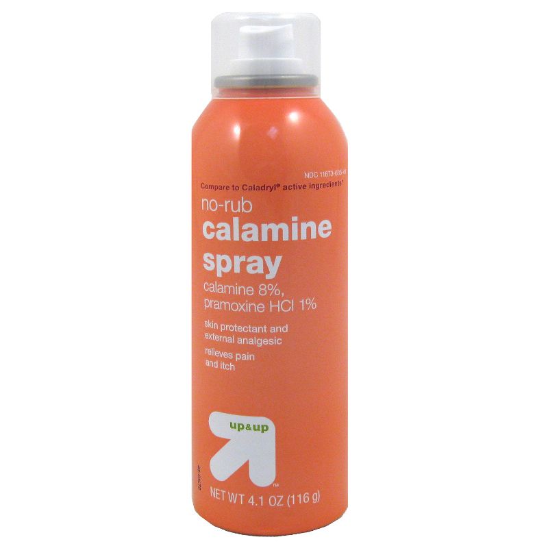 Spray Calamine Lotion - 4.1oz - up &#38; up&#8482;, 1 of 4
