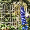2 Pack Flower Trellis, Metal Garden Trellis, Garden Trellis Climbing Plants, Garden Trellis Modern With 71" X 40" For Outdoor-Cuddlewood - 3 of 4