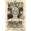 Trends International Fantastic Beasts And Where To Find Them - Wanded - Extremely Dangerous Unframed Wall Poster Prints - 4 of 4