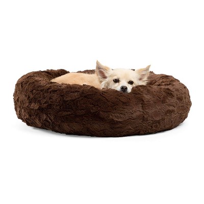 best cuddler dog bed