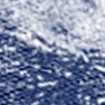 dark blue/white