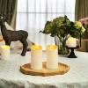 FAAYFIAN 6"x3" Outdoor Waterproof Flameless Candles, LED Candles, Battery Operated Candles with Remote and Timers - 2 of 4