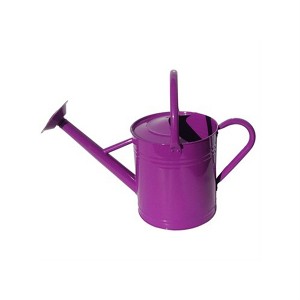 Gardener's Select Classic Metal Gardening Watering Can - 1 of 2
