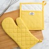 Design Imports Chino Oven Mitt & Potholder Kitchen Set/2, Yarrow Yellow - 3 of 3