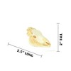 Collectible Wildlife Gifts | Zebra, Skull, Plastic Toy Animal,  Gift, Realistic Figure, Educational Model,  Gift,         1 3/4"        F4121 B193 - 2 of 4