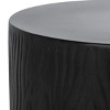 Trunk Accent Stool - Indoor/Outdoor - VNN1004 - Black - Safavieh - 4 of 4