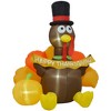 HOMCOM 5ft Inflatable Thanksgiving Turkey Pulls Banner with Pumpkin, Thanksgiving Decoration with LED Lights for Garden Indoor Outdoor - 4 of 4