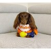 Nylabone Power Play Fetch-a-Bounce Rubber 5" Dog Toy - 3 of 3