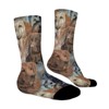 Hunting Dogs Women Printed Crew Socks Funny Funky Socks Soft Polyester Novelty Gifts for Artists Men - 3 of 4