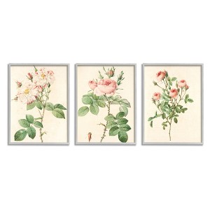 Stupell Industries Vintage Pink Rose with Floral Stems 3pc Framed Giclee Art Set - 1 of 4
