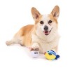 BARK Summer Big Shake Lake Good Chums Dog Plush Toy - 2pc - 3 of 4